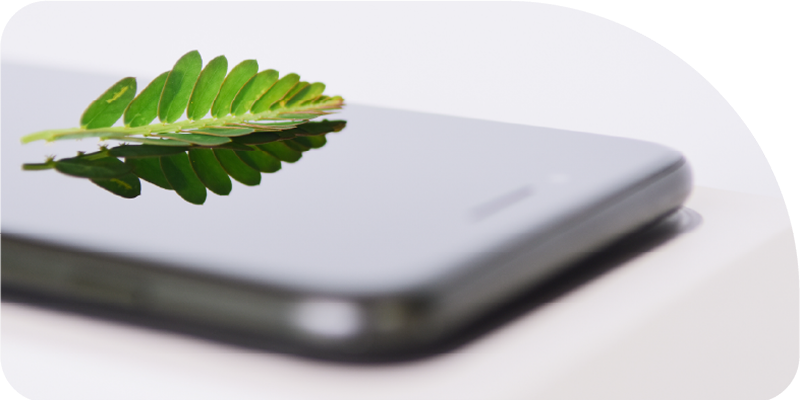 Foglia su smartphone